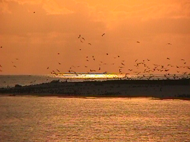 Michaelmas Cay